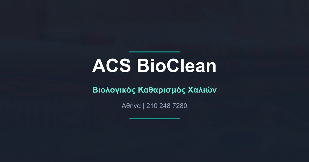 Αντιαλλεργικός Καθαρισμός Χαλιών: Προστατέψτε την Υγεία της Οικογένειάς σας